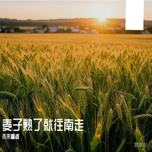 韩国美女奶头㊙️麻豆AV
