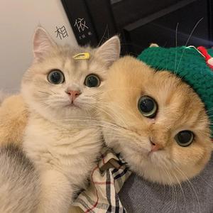 韩国美女奶头㊙️麻豆AV
